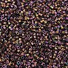 MIYUKI Delica Beads Small X-SEED-J020-DBS0023-3