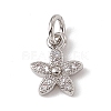 Brass Micro Pave Cubic Zirconia Charms ZIRC-F132-99P-1