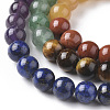 7 Chakra Theme Natural Red Rainbow Jasper & Yellow Aventurine & Tiger Eye & Green Aventurine & Blue Spot Stone & Lapis Lazuli & Amethyst Beads Strands G-F668-23-4mm-3