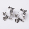 Natural Howlite Pendants G-E442-01S-1