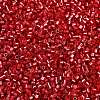 Baking Paint Silver Lined Glass Seed Beads SEED-H003-09C-2