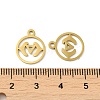 Ion Plating(IP) 304 Stainless Steel Charms STAS-J042-10G-3