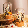 10 set Glass Dome Cover AJEW-BC0003-54A-7