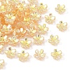50Pcs Transparent Electroplate Glass Bead Caps EGLA-YW0007-17C-1