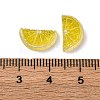 Resin Cabochons RESI-Z032-04C-3