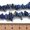 Natural Lapis Lazuli Chip Beads Strands X-G-E271-121-2