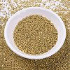 MIYUKI Delica Beads X-SEED-J020-DB0410-2