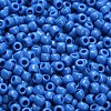 TOHO 6/0 Round Beads X-SEED-TR06-0043D-4