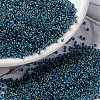 MIYUKI Round Rocailles Beads SEED-JP0010-RR0339-1