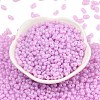 Baking Paint Glass Seed Beads SEED-L011-09A-10-2