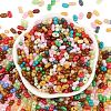 Baking Paint Glass Seed Beads SEED-L011-09A-01-2