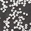 6/0 Glass Seed Beads SEED-J014-F6-41-3