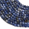 Natural South Africa Sodalite Beads Strands G-S259-35-4mm-4