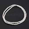 Frosted Glass Bead Strands GLAA-J063-B01-2