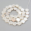 Electroplate Natural Freshwater Shell Beads Strands SHEL-T017-08-2