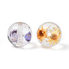 Transparent Resin & Gold Foil & Dried Flower Round Beads RESI-T060-44M-2