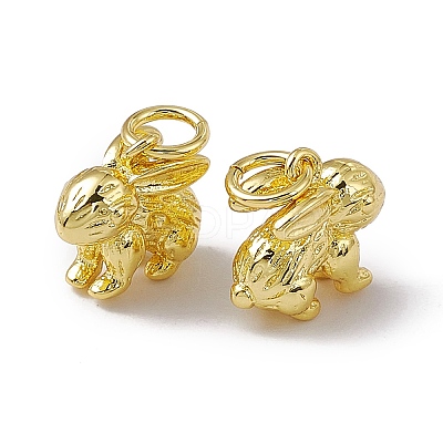 Rack Plating Brass Charms KK-C007-17G-1
