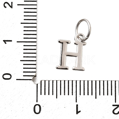 925 Sterling Silver Pendants STER-R011-07P-H-1