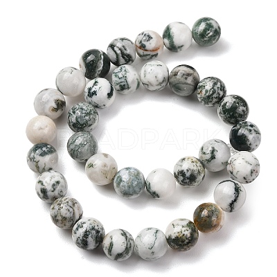 Natural Tree Agate Beads Strands G-T150-A09-12mm-1