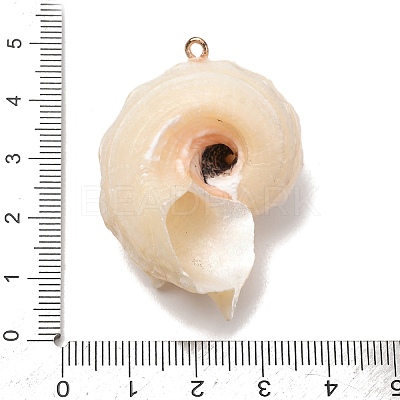 Natural Conch Shell Pendants SH-CBAD3AC-01-1