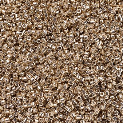 MIYUKI Delica Beads X-SEED-J020-DB0411-1