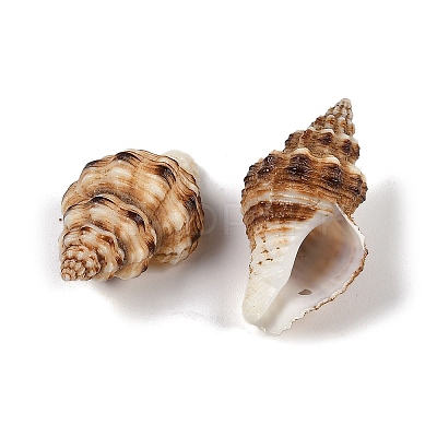 Natural Spiral Shell Pendants SHEL-K009-17C-1