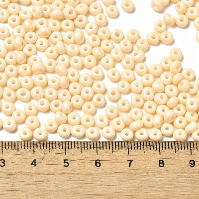 Baking Paint Glass Seed Beads X1-SEED-B001-02A-09-1