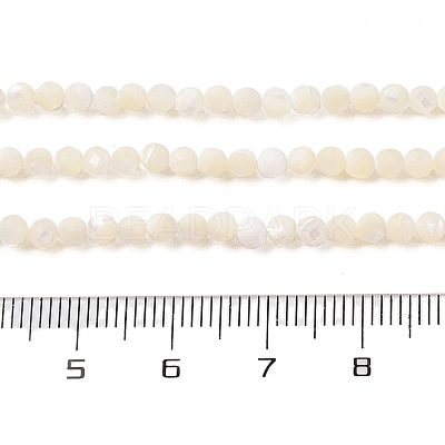 Natural Trochus Shell Beads Strands SHEL-P017-05-1