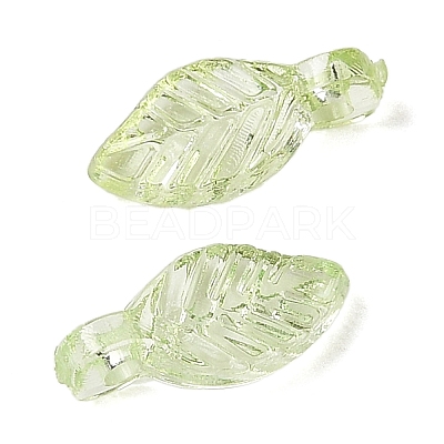 Transparent Acrylic Charms X-TACR-F009-11B-1
