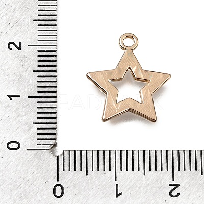 Alloy with Enamel Pendants AL-CBA2F44-02G-1