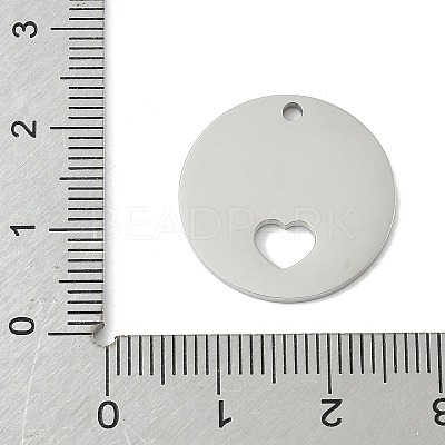 304 Stainless Steel Pendants STAS-D365-06P-1