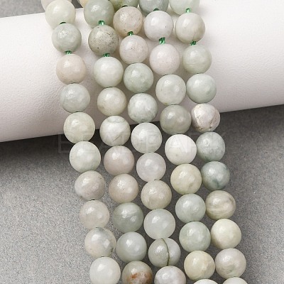 Natural Myanmar Jade/Burmese Jade Beads Strands G-D0001-08-6mm-01-1