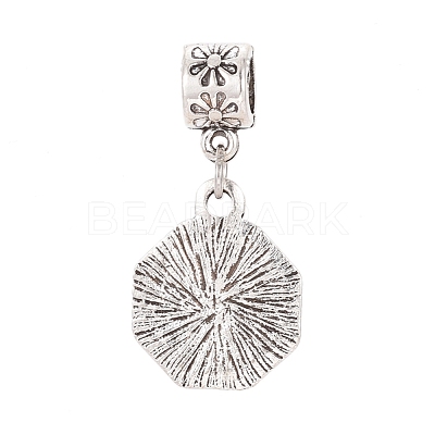 Tibetan Style Alloy European Dangle Charms MPDL-G024-01AS-1