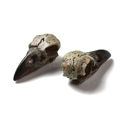 Crow Raven Bird Skull Resin Home Display Decoration RESI-A018-01B-1