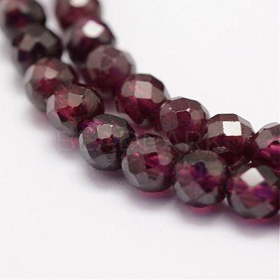 Natural Garnet Beads Strands G-F460-28-1