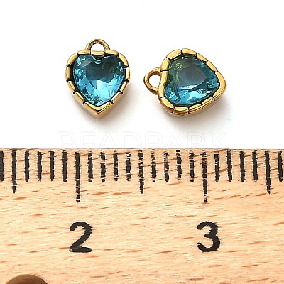 304 Stainless Steel Pendants STAS-H438-15G-05-1