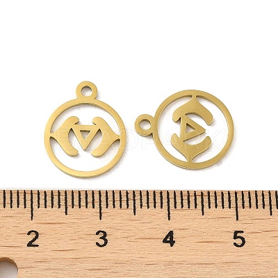 Ion Plating(IP) 304 Stainless Steel Charms STAS-J042-10G-1