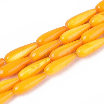 Natural Freshwater Shell Beads Strands SHEL-A004-03D-1