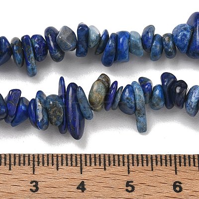 Natural Lapis Lazuli Chip Beads Strands X-G-E271-121-1