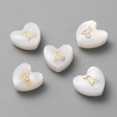 5Pcs Natural White Shell Beads LS-BSHE-TAC0004-02L-1