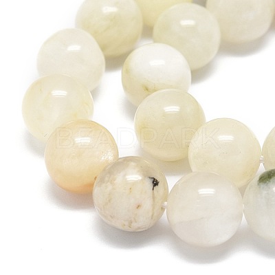 Natural Rainbow Moonstone Beads Strands G-O201A-17C-1
