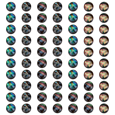 70Pcs Natural Paua Shell & Acrylic Cabochons SHEL-BC0001-047-1