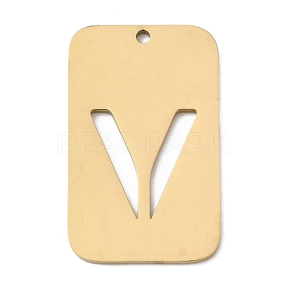 304 Stainless Steel Pendants STAS-D200-01V-G-1