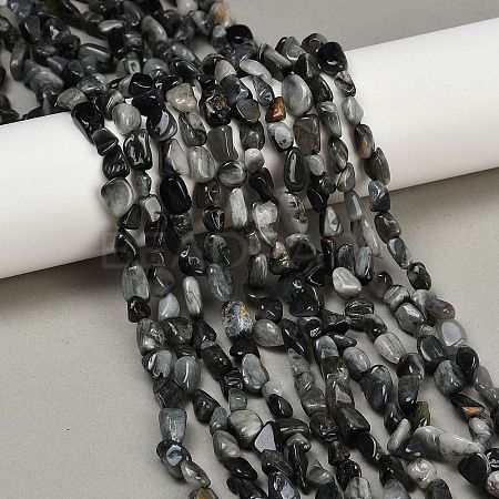 Natural Eagle Eye Stone Beads Strands G-Q060-D06-1