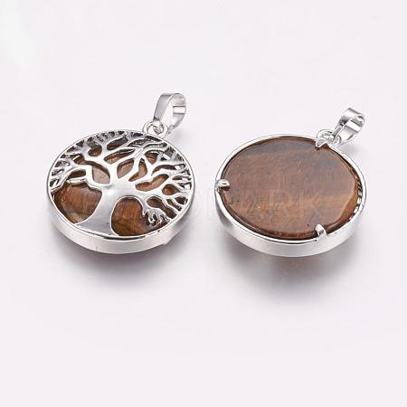 Natural Tiger Eye Pendants G-E388-06P-1