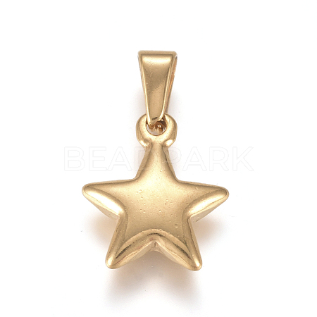 304 Stainless Steel Charms STAS-I127-067G-02-1