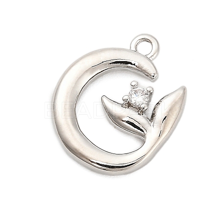 Brass Micro Pave Cubic Zirconia Pendants ZIRC-F143-04P-1