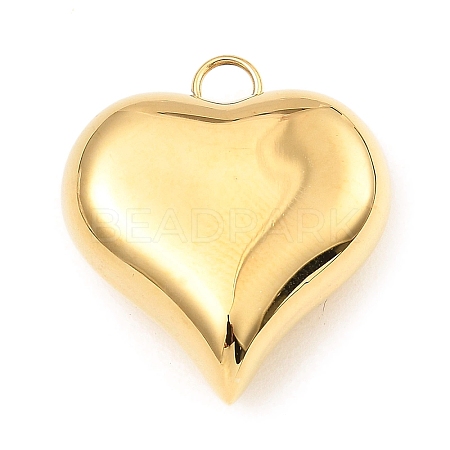 304 Stainless Steel Pendants X-STAS-A089-01A-G-1
