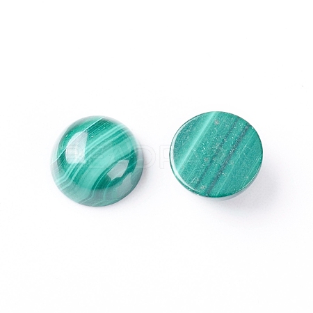 Natural Malachite Cabochons X-G-E557-06B-1