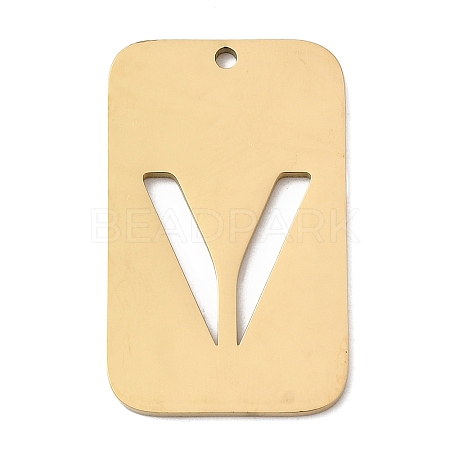 304 Stainless Steel Pendants STAS-D200-01V-G-1